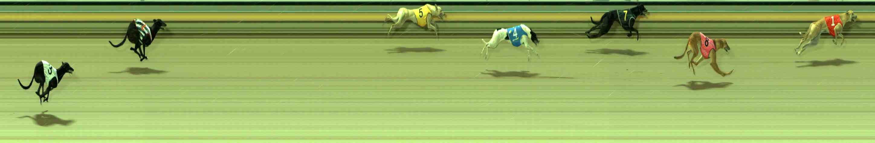 Race result finish photo